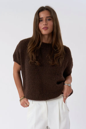 Chloe Short Sleeved Knit - Chocolate