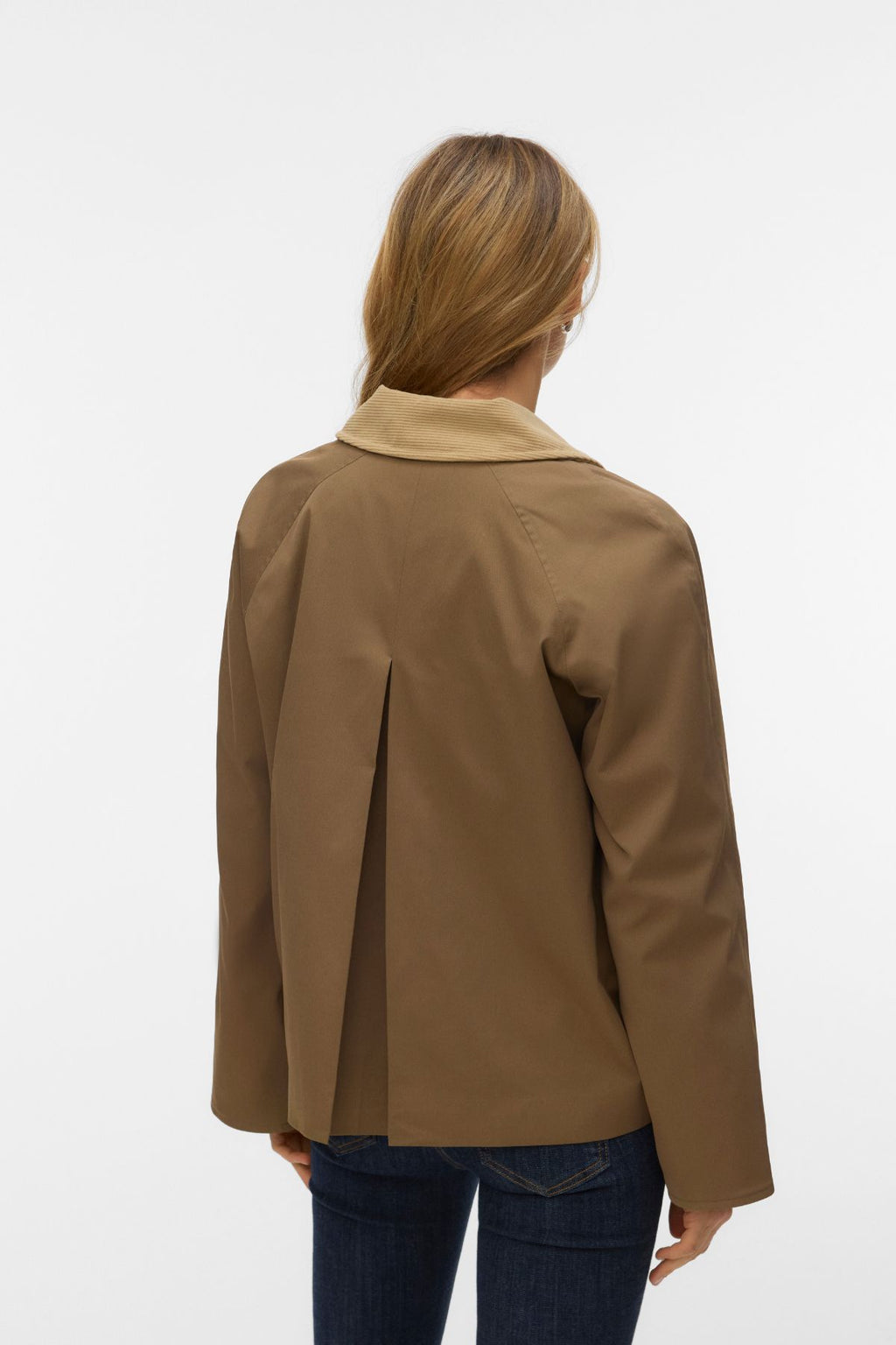 Chelseafia trumpa striukė – mažylis