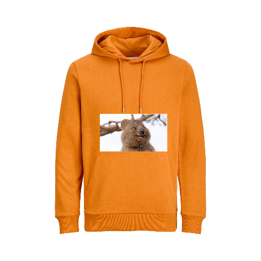 Basic Hoodie prakaitas - oranžinis