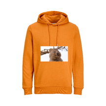 Basic Hoodie prakaitas - oranžinis