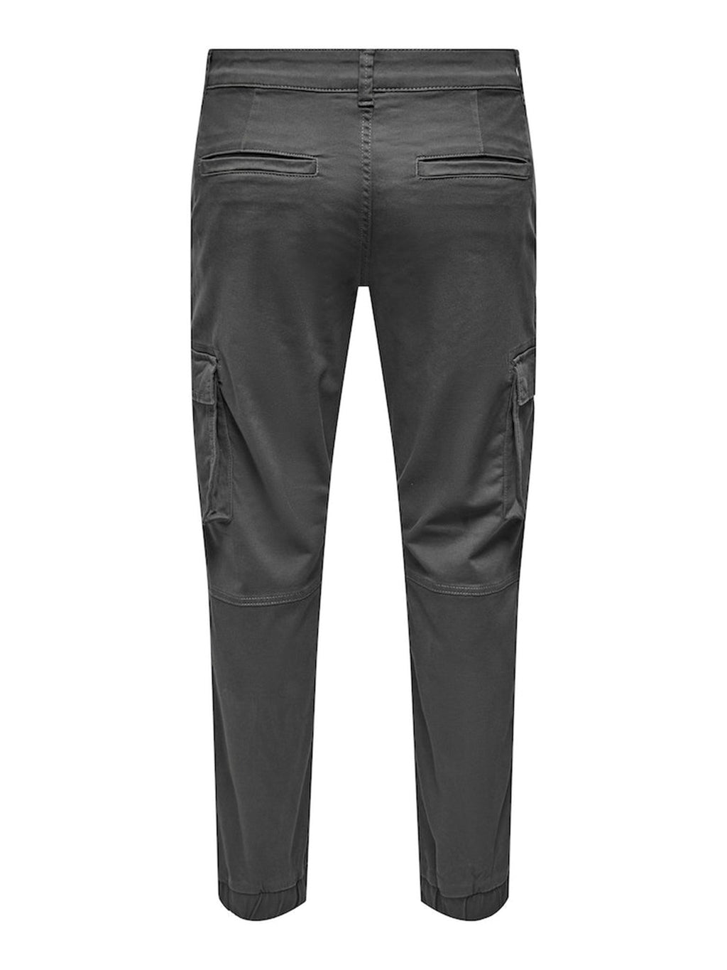 Cam Stage Cargo Pants - Pilkas segtukas